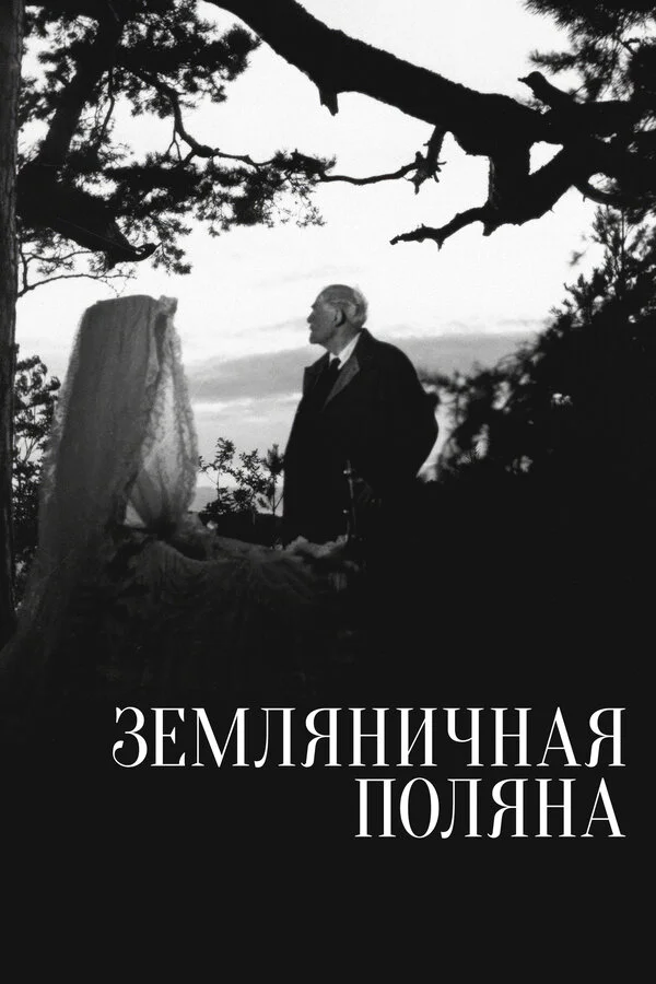 Земляничная поляна постер